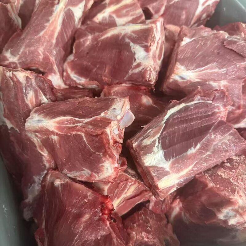 Lamb Spine